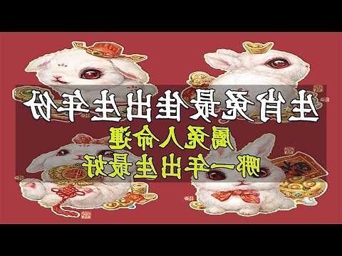屬兔 個性